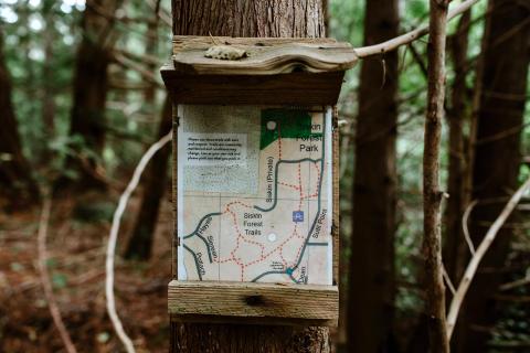 Trail map on a tree in a forest, surrounded by greenery.