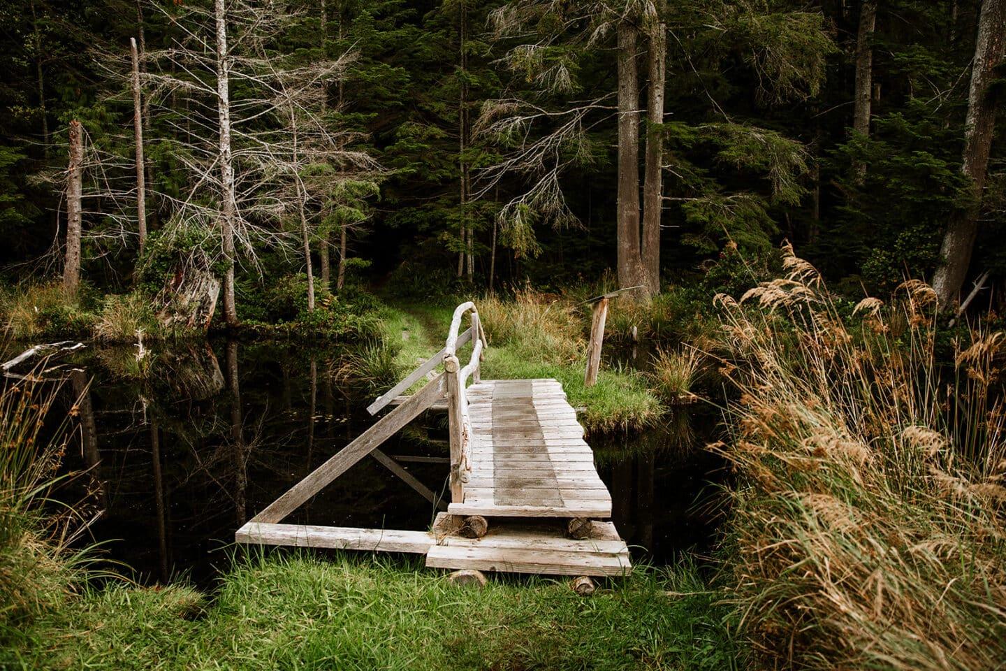Rustic wooden bridge over a forest pond, surrounded by tall trees and grass.