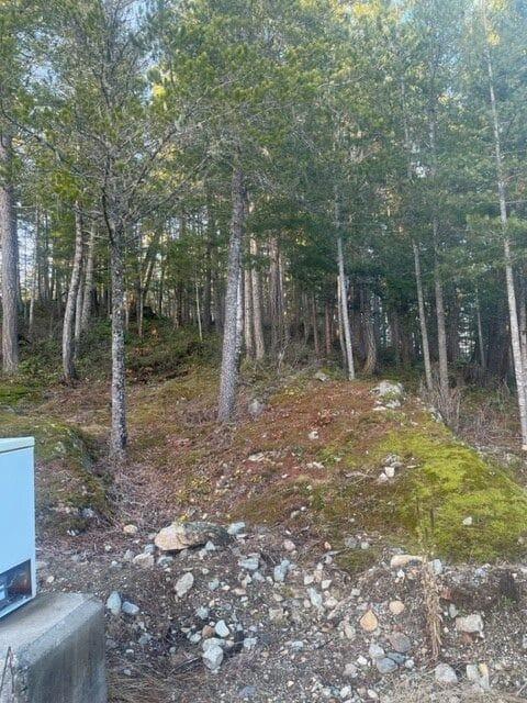 Forest with tall trees, mossy ground, and scattered rocks.