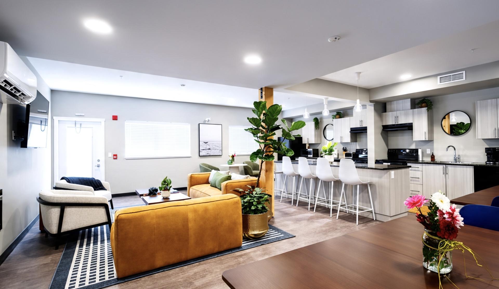 Bright and modern living space with a yellow couch, plants, and a kitchen bar.